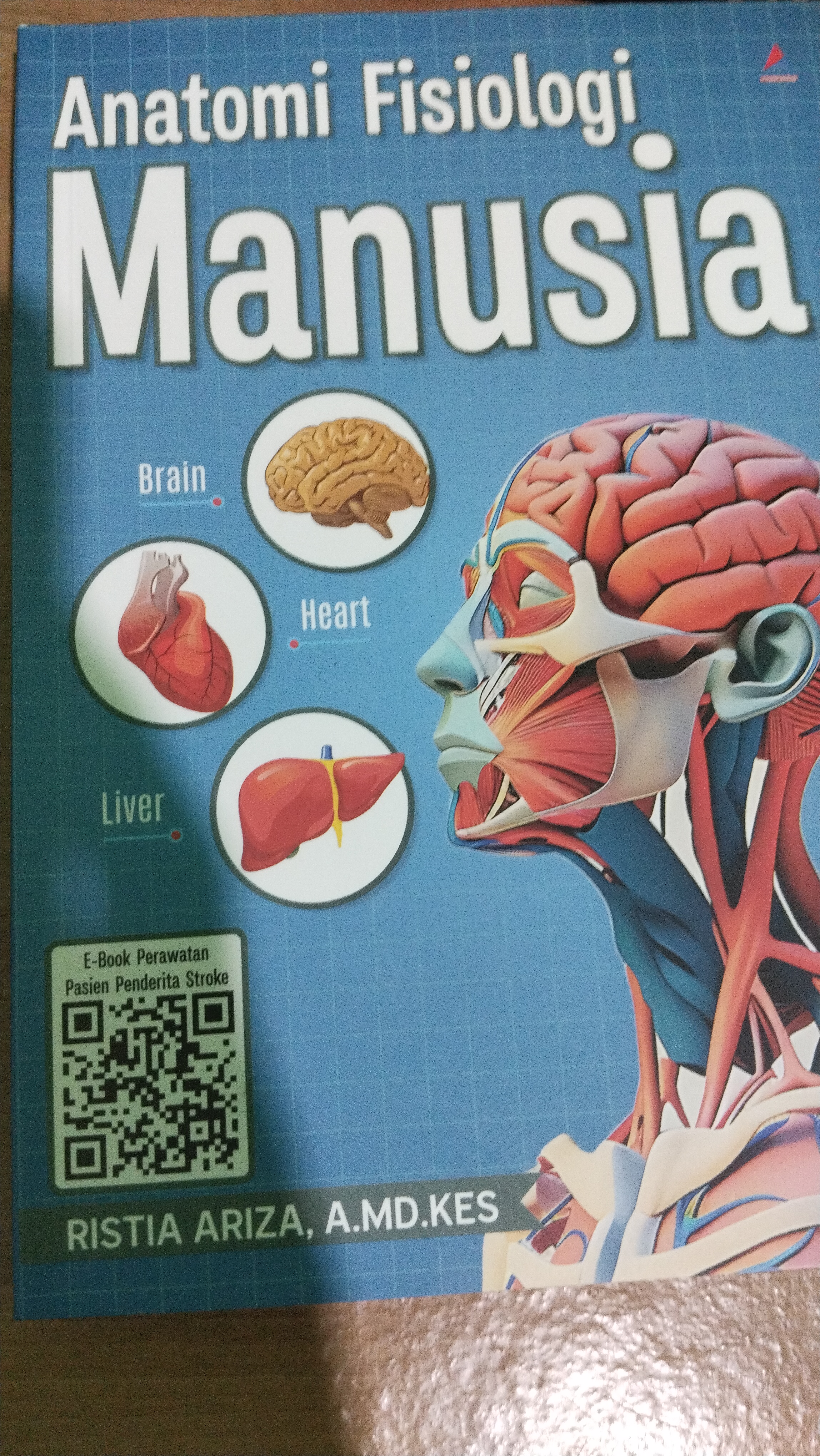 Anatomi fisiologi manusia