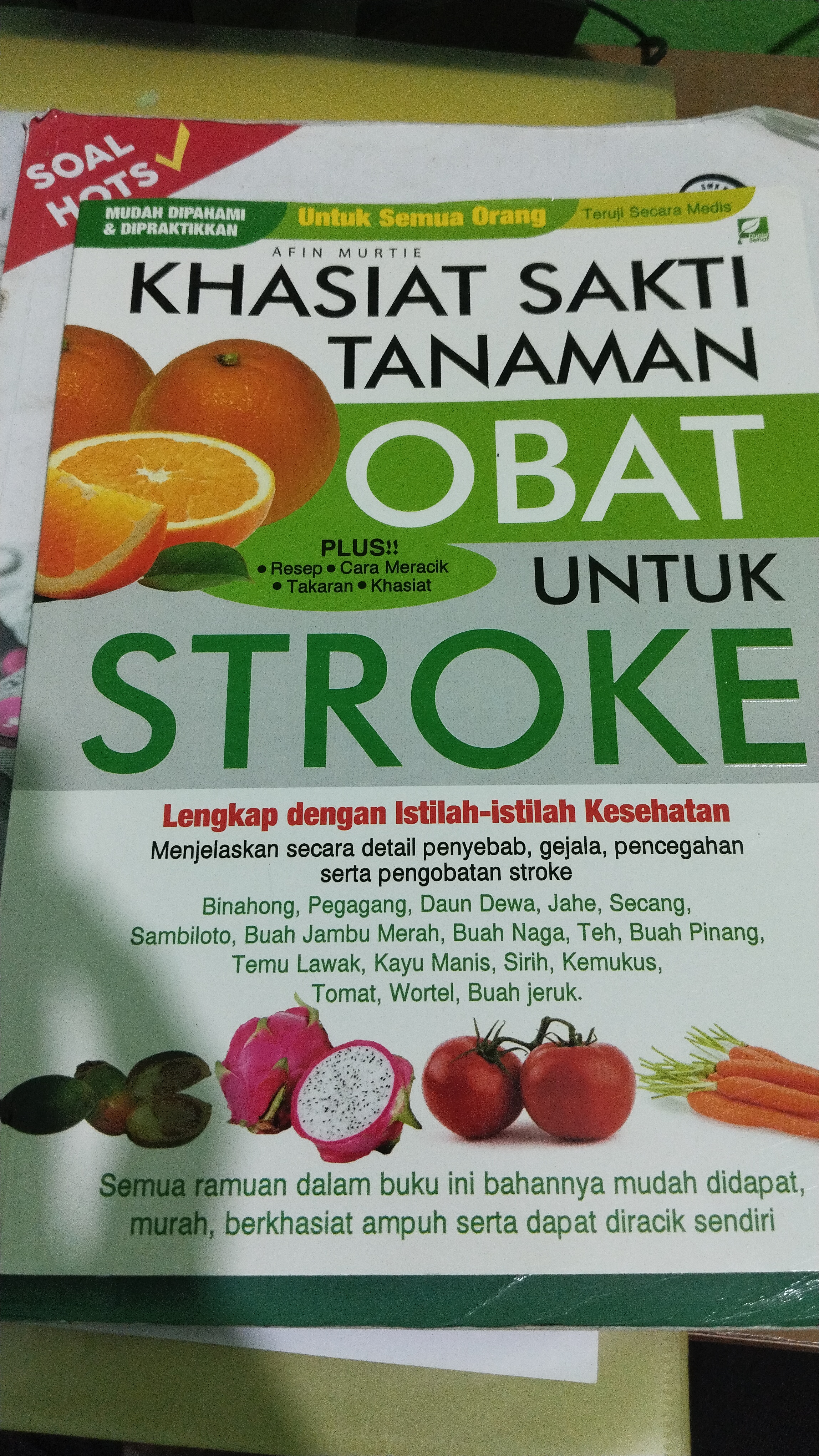 Khasiat sakti tanaman obat untuk stroke